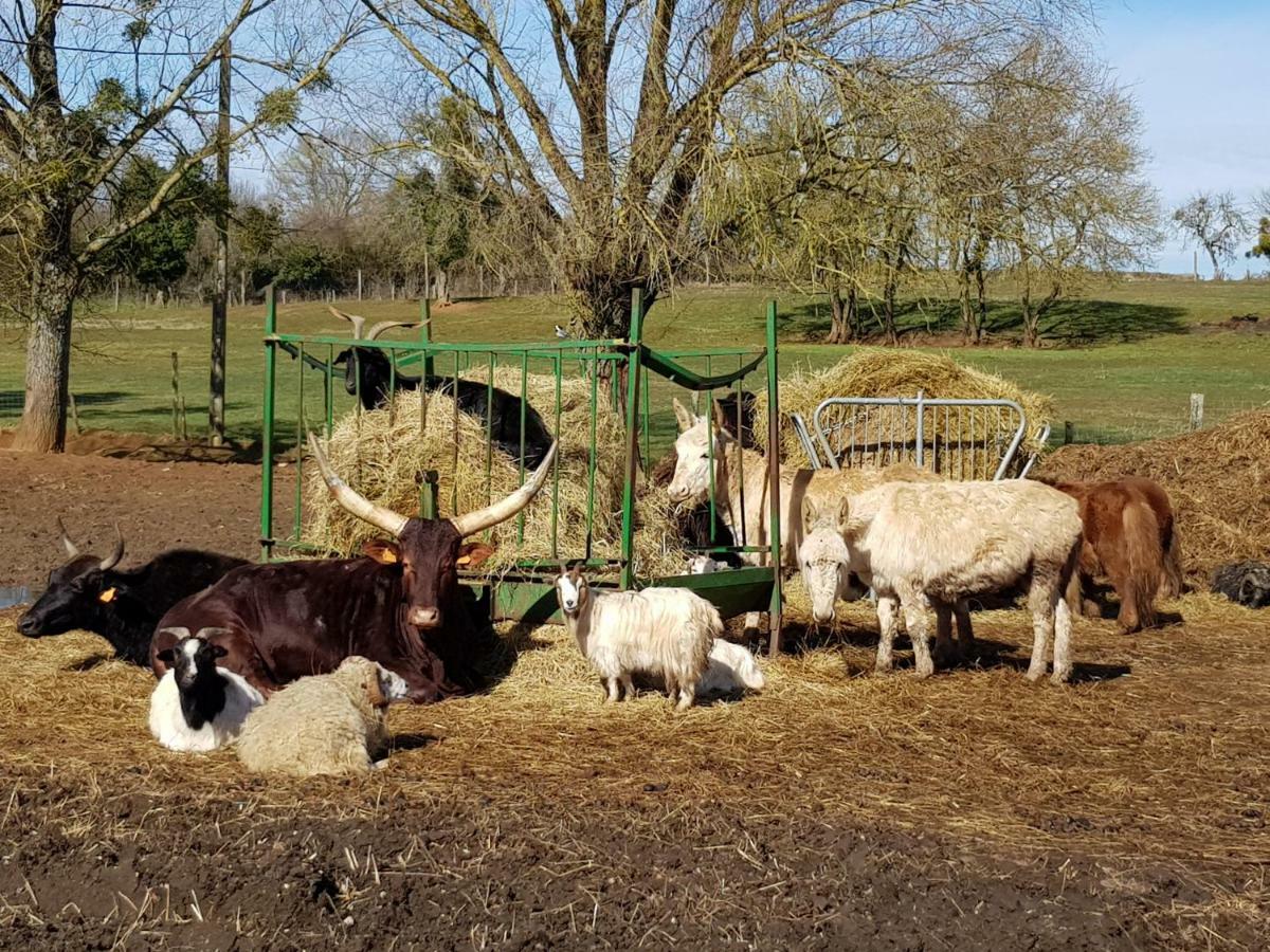 La Ferme Aux Kangourous Donzy Exterior foto